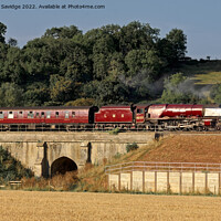 Buy canvas prints of Duchess of Sutherland 6233 in glorious Autumn sunshine by Duncan Savidge