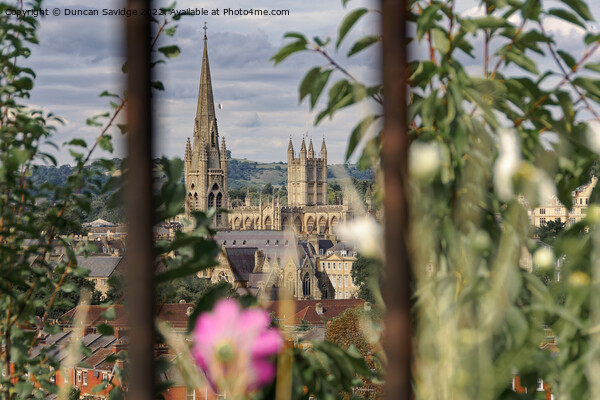 A view of Bath through the railings  Picture Board by Duncan Savidge
