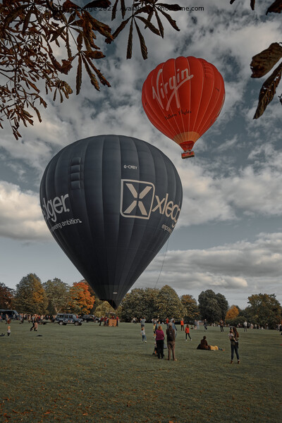 Hot air balloons take of from Bath in the Autumn Picture Board by Duncan Savidge