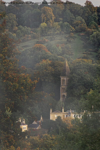 Bath Abbey Cemetary in the Autumnal mist  Picture Board by Duncan Savidge