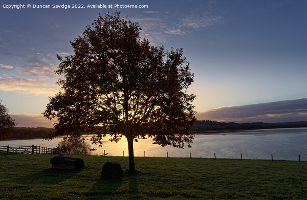 Autumn sunrise at Chew Valley Lake Picture Board by Duncan Savidge