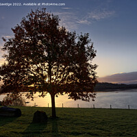 Buy canvas prints of Autumn sunrise at Chew Valley Lake by Duncan Savidge