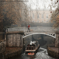 Buy canvas prints of A foggy Sydney Gardens in Bath by Duncan Savidge