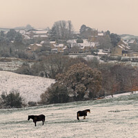 Buy canvas prints of Englishcombe Bath in the snow by Duncan Savidge