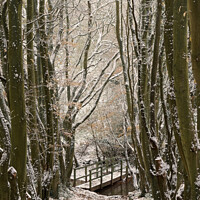 Buy canvas prints of Bridge to Englishcombe village in the snow by Duncan Savidge