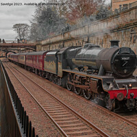 Buy canvas prints of Steam train Galatea heads through Sydney Gardens Bath  by Duncan Savidge