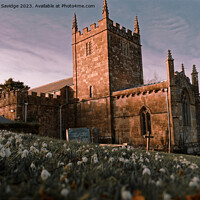 Buy canvas prints of Snowdrops at St Peters church Englishcombe  by Duncan Savidge