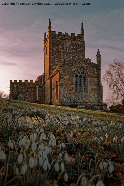 Snowdrops at St Peters church Englishcombe  Picture Board by Duncan Savidge