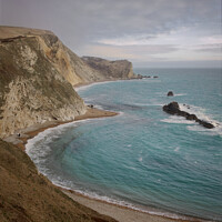 Buy canvas prints of Dorset Coast Man o'war beach portrait  by Duncan Savidge