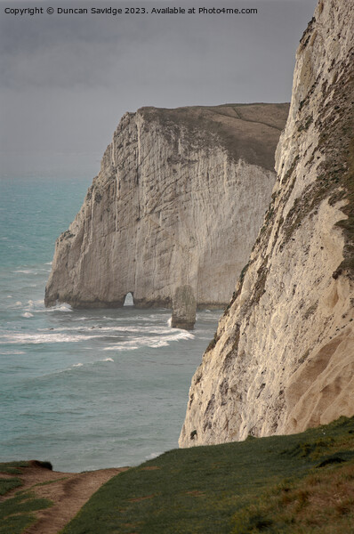 Bat's Head Dorset Coast  Picture Board by Duncan Savidge