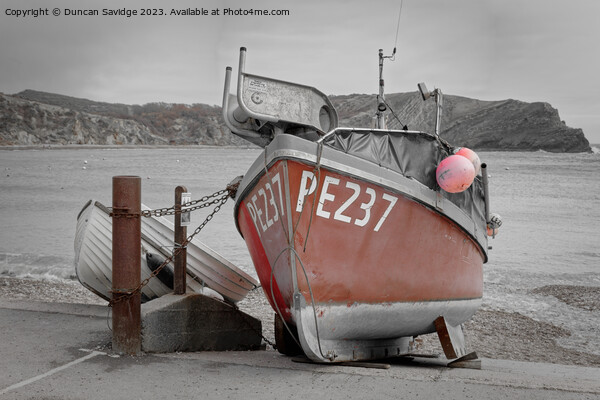 Fishing boat at Lulworth Cove colout splash Picture Board by Duncan Savidge