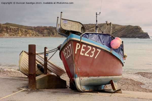 Fishing boat at Lulworth Cove Picture Board by Duncan Savidge