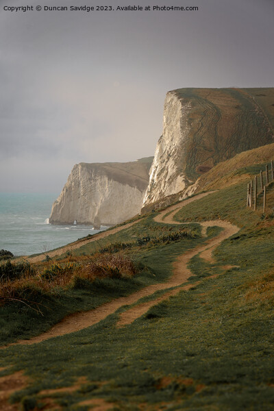 White Cliffs of Dorset Picture Board by Duncan Savidge