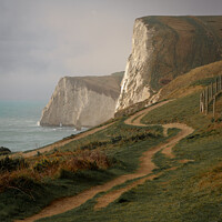 Buy canvas prints of White Cliffs of Dorset by Duncan Savidge