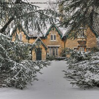 Buy canvas prints of Royal Victoria Park’s fairytale cottage peeking through the evergreen snow by Duncan Savidge
