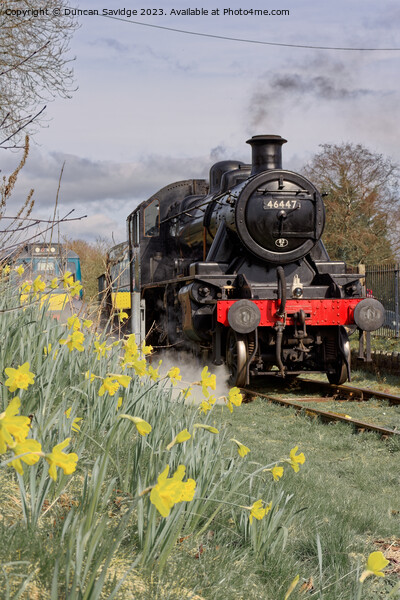46447 Ivatt at East Somerset Railway against the daffodils  - steam train Picture Board by Duncan Savidge
