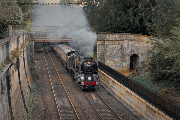 Steam train Braunton through Sydney Gardens in Bath Picture Board by Duncan Savidge