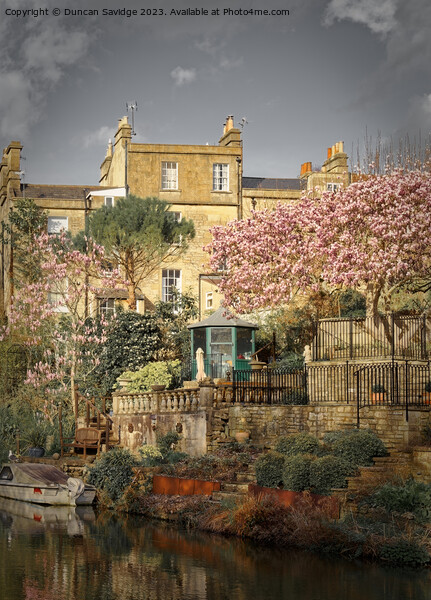 Spring along the Kennett and Avon canal in Bath ci Picture Board by Duncan Savidge
