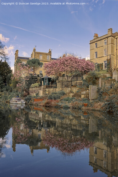 Spring golden and pink reflections along the Kennett and Avon canal in Bath Picture Board by Duncan Savidge