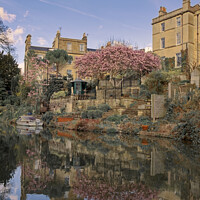 Buy canvas prints of Spring golden and pink reflections along the Kennett and Avon canal in Bath by Duncan Savidge