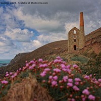 Buy canvas prints of Majestic ruins of Wheal Coates overlooking the Nor by Duncan Savidge