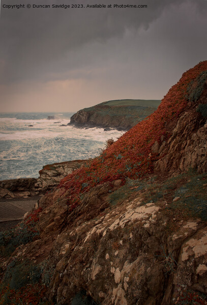 Stormy portrait of the Lizard Point in Cornwall Picture Board by Duncan Savidge