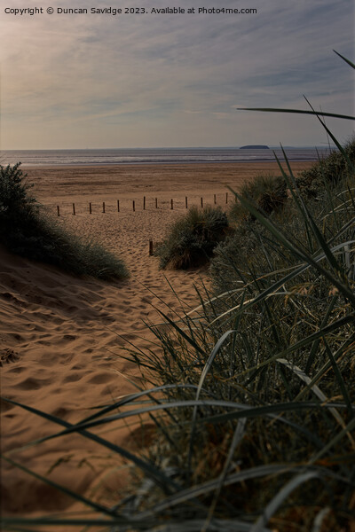 Golden hour at Berrow Beach in Somerset  Picture Board by Duncan Savidge