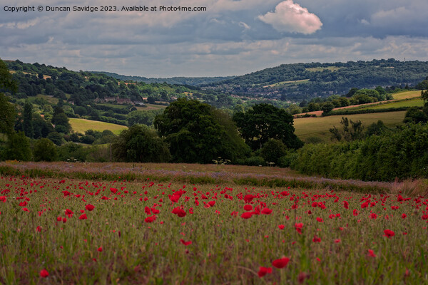 Poppy field looking towards Bathampton Picture Board by Duncan Savidge