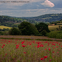 Buy canvas prints of Poppy field looking towards Bathampton by Duncan Savidge