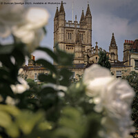 Buy canvas prints of Bath Abbey framed by white roses by Duncan Savidge