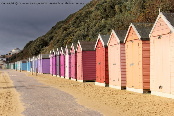 Bournemouth colorful beach huts Picture Board by Duncan Savidge