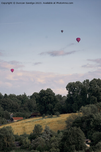 Collection if balloons over Foxhill in Bath Picture Board by Duncan Savidge