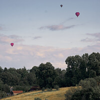 Buy canvas prints of Collection if balloons over Foxhill in Bath by Duncan Savidge