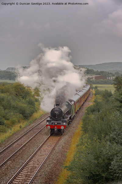 Steam Train Bahamas on the West Somerset Steam Express portrait  Picture Board by Duncan Savidge