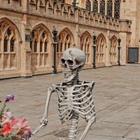 Buy canvas prints of Skelton in front of Bath Abbey by Duncan Savidge