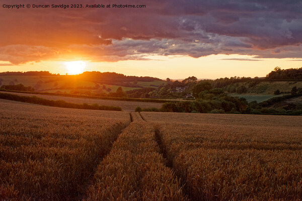 Circuit of Bath walking route at sunset Picture Board by Duncan Savidge