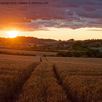 Buy canvas prints of Circuit of Bath walking route at sunset by Duncan Savidge