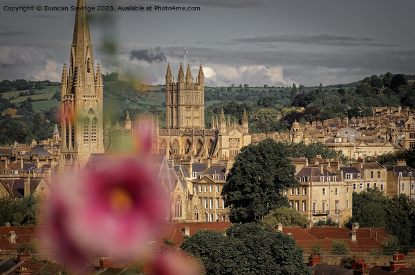 Summer views over Bath Picture Board by Duncan Savidge