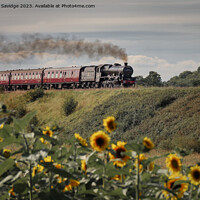 Buy canvas prints of Steam trains and sunflower fields  by Duncan Savidge