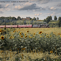 Buy canvas prints of Steam trains and sunflower fields  by Duncan Savidge