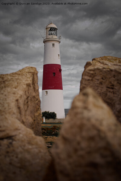 Portland lighthouse Picture Board by Duncan Savidge