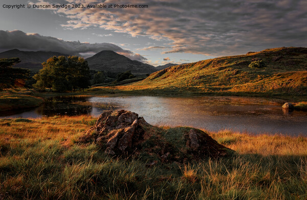 Kelly Hall Tarn Lake District  Picture Board by Duncan Savidge