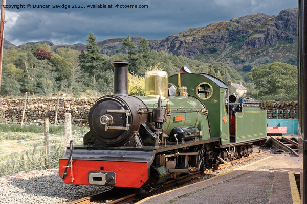 Ravenglass and Eskdale railway river Irt Picture Board by Duncan Savidge