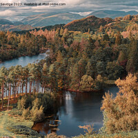 Buy canvas prints of Tarn Hows from high up by Duncan Savidge