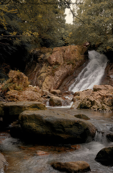 Coniston Waterfall  Picture Board by Duncan Savidge