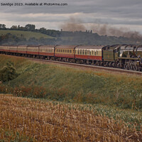 Buy canvas prints of Braunton Steam train on the bank by Duncan Savidge