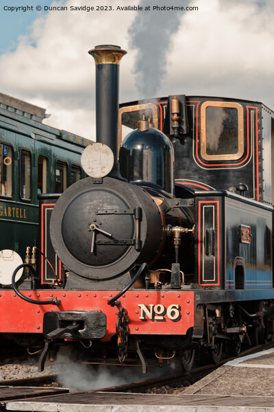 No. 6 Mr G Steam Locomotive at Gartell Light Railway  Picture Board by Duncan Savidge