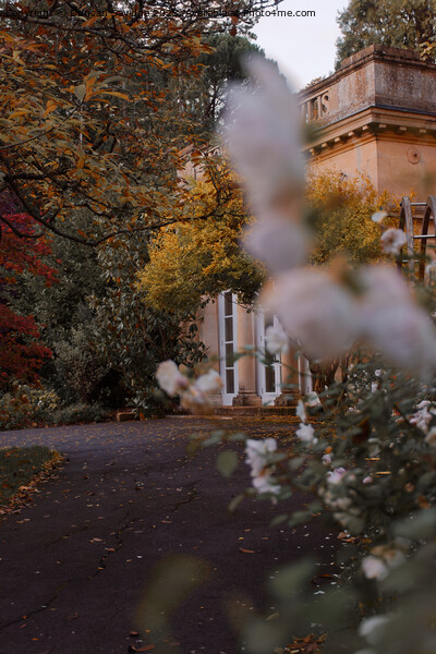 Autumn in Botanical Gardens in Bath Picture Board by Duncan Savidge
