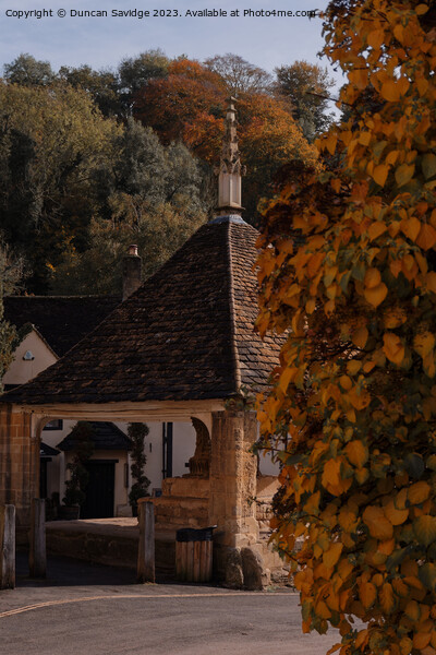 Autumn in the Cotswolds  Picture Board by Duncan Savidge