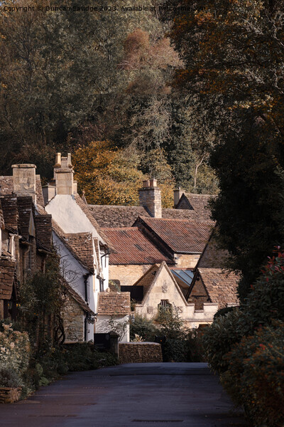 England's prettiest village - Castle Combe  Picture Board by Duncan Savidge